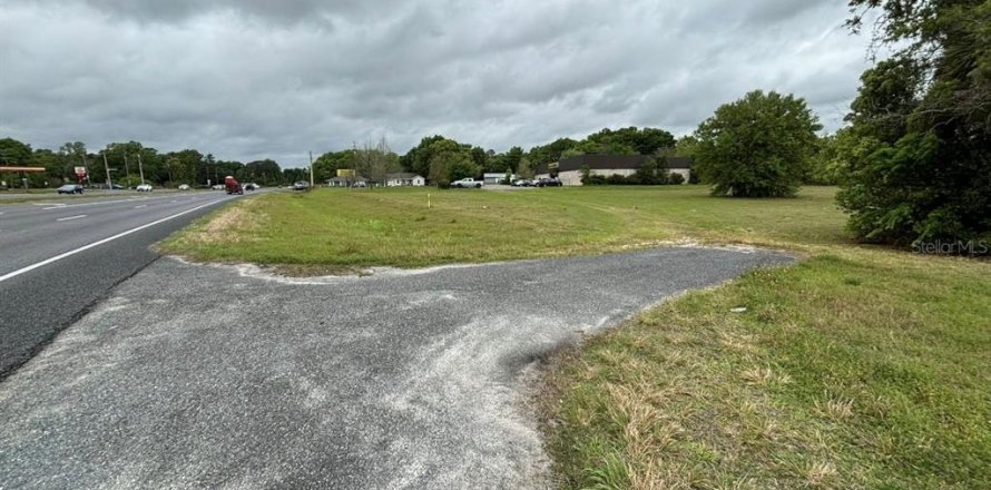 Terrain à Belleview, Floride № 1138091
