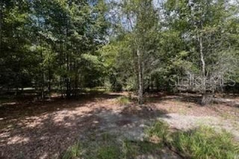 House in Bell, Florida 3 bedrooms, 167.6 sq.m. № 1910667 - photo 15
