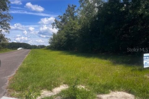 House in Bell, Florida 3 bedrooms, 167.6 sq.m. № 1910667 - photo 26
