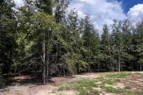 House in Bell, Florida 3 bedrooms, 167.6 sq.m. № 1910667 - photo 14