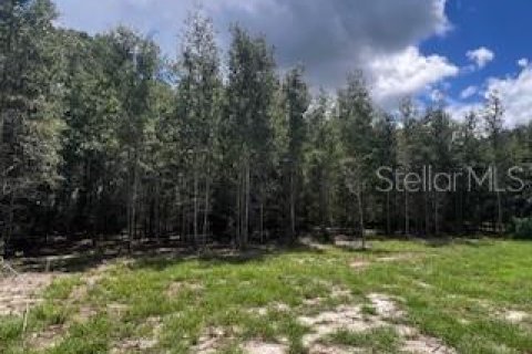 House in Bell, Florida 3 bedrooms, 167.6 sq.m. № 1910667 - photo 20