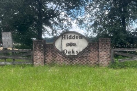 House in Bell, Florida 3 bedrooms, 167.6 sq.m. № 1910667 - photo 11