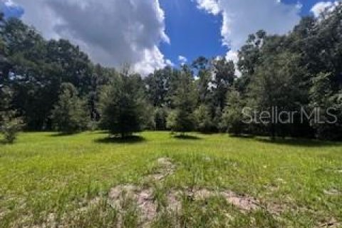 House in Bell, Florida 3 bedrooms, 167.6 sq.m. № 1910667 - photo 18