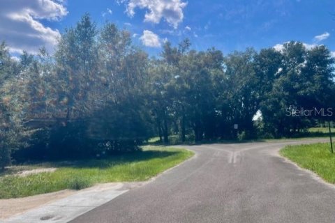 House in Bell, Florida 3 bedrooms, 167.6 sq.m. № 1910667 - photo 27
