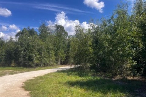 House in Bell, Florida 3 bedrooms, 167.6 sq.m. № 1910667 - photo 24