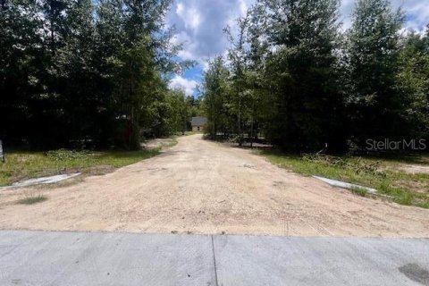 House in Bell, Florida 3 bedrooms, 167.6 sq.m. № 1910667 - photo 22