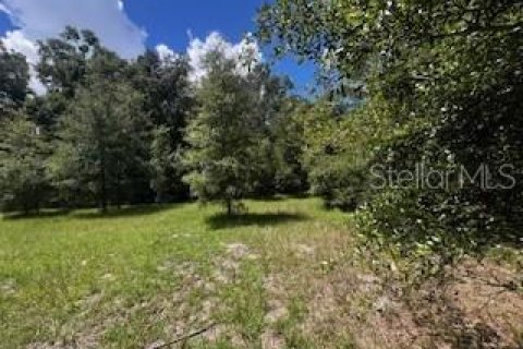 House in Bell, Florida 3 bedrooms, 167.6 sq.m. № 1910667 - photo 17