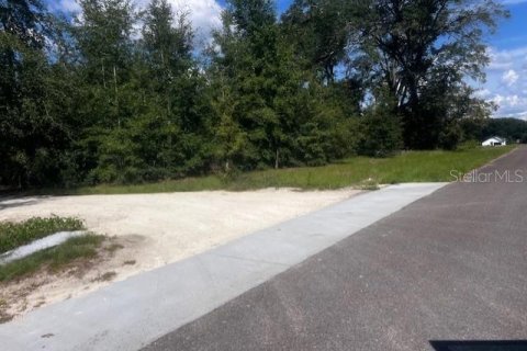House in Bell, Florida 3 bedrooms, 167.6 sq.m. № 1910667 - photo 25