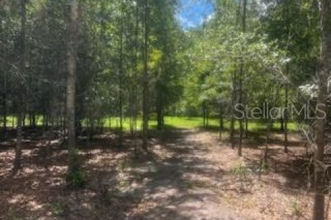House in Bell, Florida 3 bedrooms, 167.6 sq.m. № 1910667 - photo 19