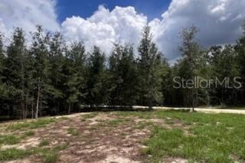 House in Bell, Florida 3 bedrooms, 167.6 sq.m. № 1910667 - photo 13