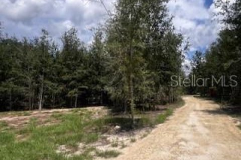 House in Bell, Florida 3 bedrooms, 167.6 sq.m. № 1910667 - photo 12