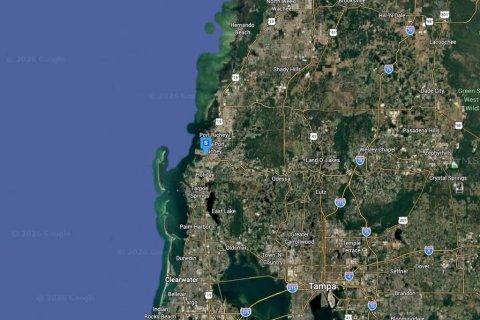 Land in New Port Richey, Florida № 2378014 - photo 5