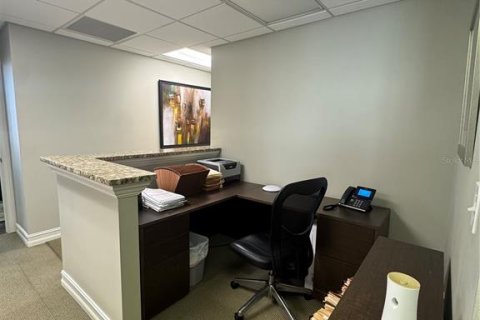 Propiedad comercial en alquiler en Tampa, Florida, 345.88 m2 № 1723280 - foto 7