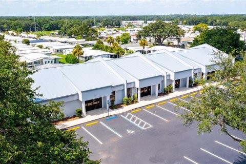 Propiedad comercial en alquiler en Zephyrhills, Florida, 230.68 m2 № 1109512 - foto 8