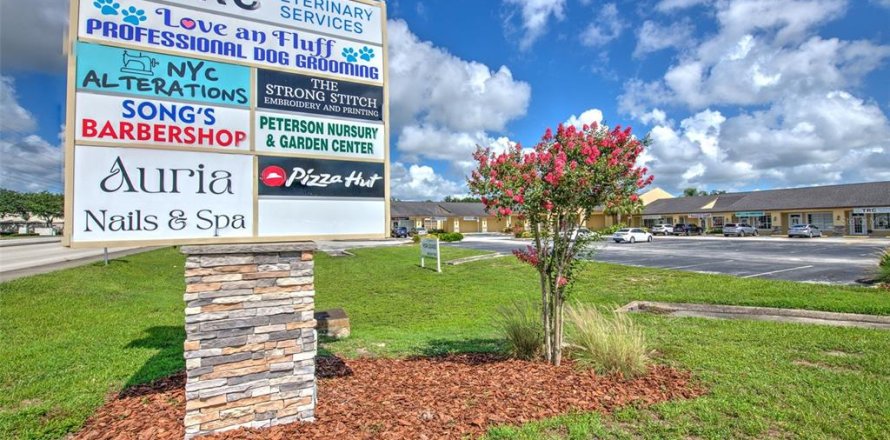 Commercial property in Lakeland, Florida 78.97 sq.m. № 1800623