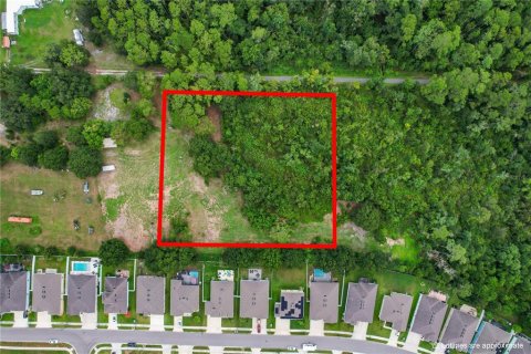 Land in Wesley Chapel, Florida № 2306382