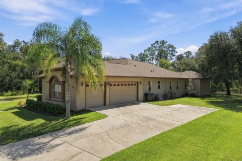 Villa ou maison à vendre à Dover, Floride: 4 chambres, 313.82 m2 № 2419630 - photo 3