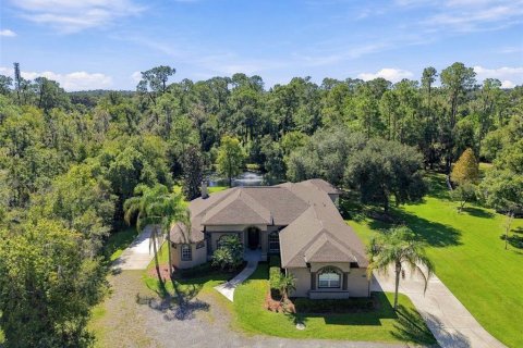 Villa ou maison à Dover, Floride 4 chambres, 313.82 m2 № 2419630