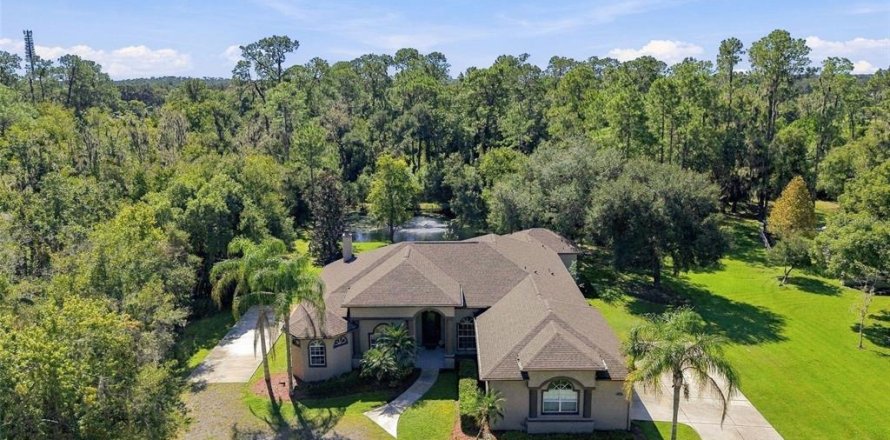 Villa ou maison à Dover, Floride 4 chambres, 313.82 m2 № 2419630