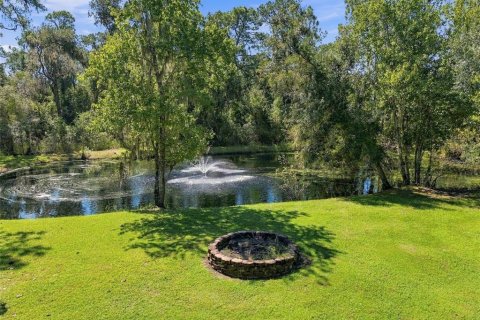 Villa ou maison à vendre à Dover, Floride: 4 chambres, 313.82 m2 № 2419630 - photo 24