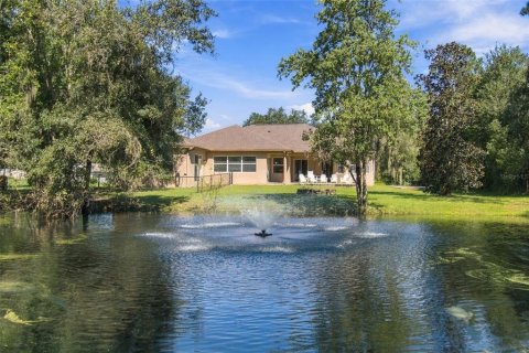 Villa ou maison à vendre à Dover, Floride: 4 chambres, 313.82 m2 № 2419630 - photo 6