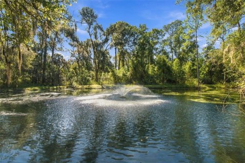 Villa ou maison à vendre à Dover, Floride: 4 chambres, 313.82 m2 № 2419630 - photo 25