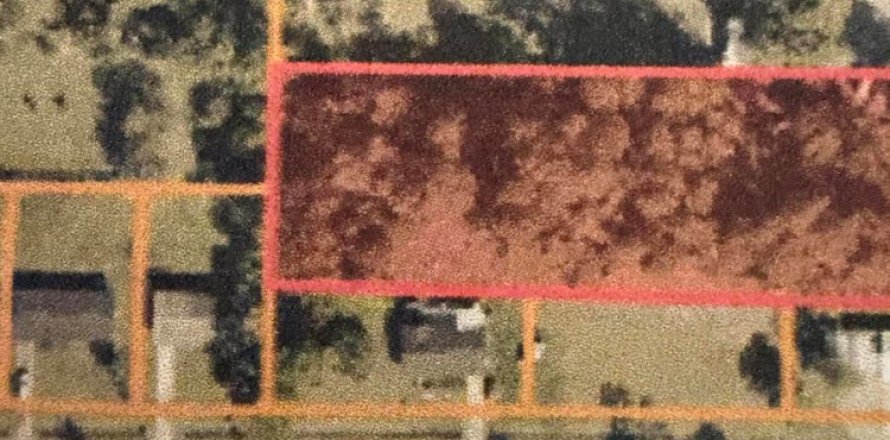 Immobilier commercial à St. Lucie, Floride № 2188194