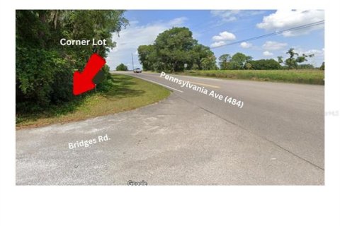 Land in Dunnellon, Florida № 1717644 - photo 1