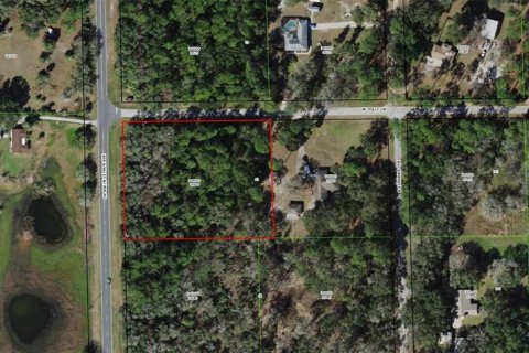 Land in Dunnellon, Florida № 1877050 - photo 1