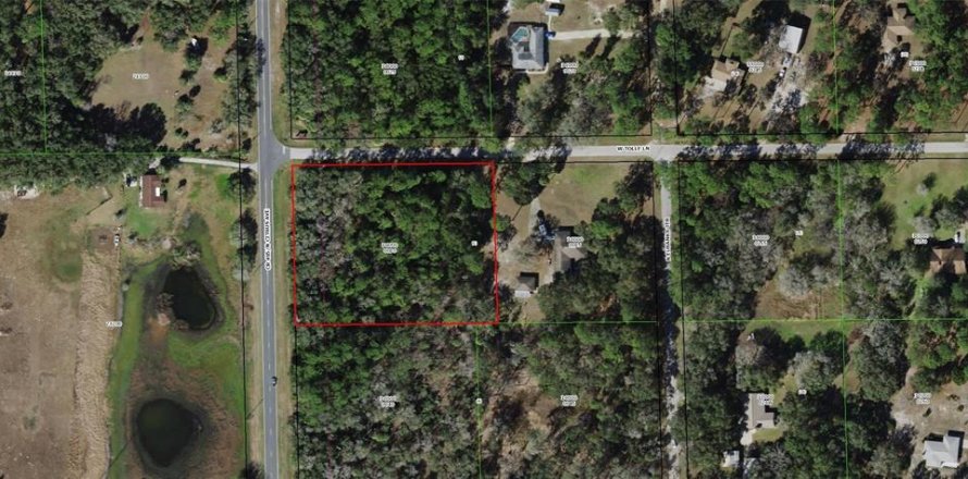 Land in Dunnellon, Florida № 1877050