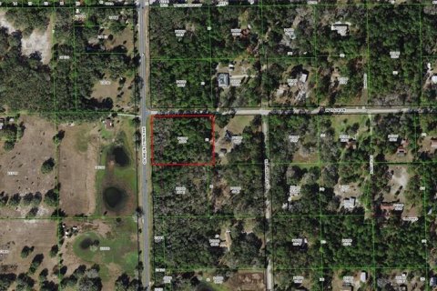 Land in Dunnellon, Florida № 1877050 - photo 2