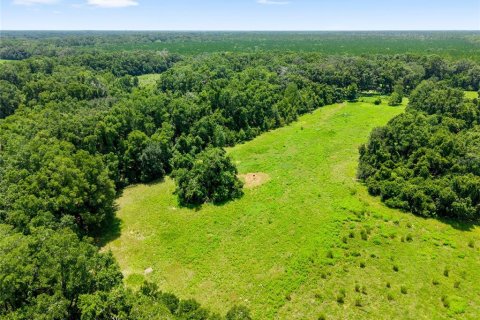 Villa ou maison à vendre à Archer, Floride: 3 chambres, 111.48 m2 № 1841557 - photo 8