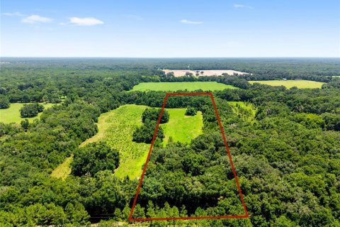 Villa ou maison à vendre à Archer, Floride: 3 chambres, 111.48 m2 № 1841557 - photo 4