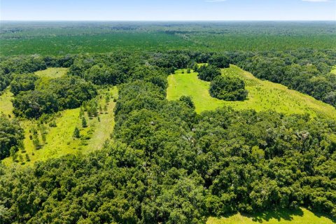 Villa ou maison à vendre à Archer, Floride: 3 chambres, 111.48 m2 № 1841557 - photo 5