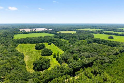Villa ou maison à vendre à Archer, Floride: 3 chambres, 111.48 m2 № 1841557 - photo 3