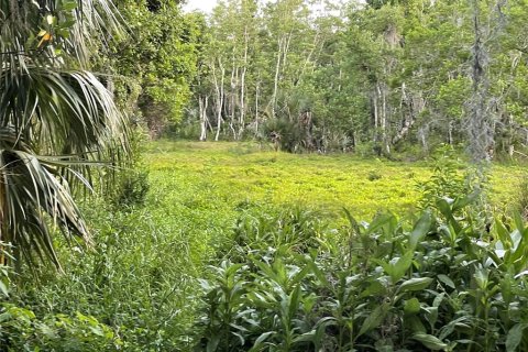 Terreno en venta en Haines City, Florida № 2123280 - foto 12