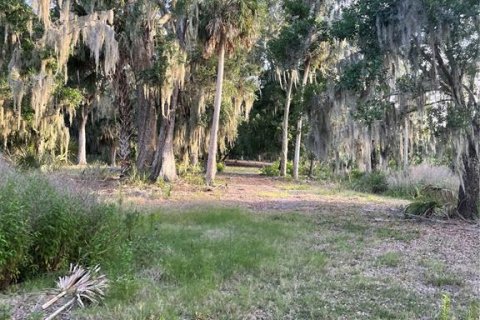Terreno en venta en Haines City, Florida № 2123280 - foto 6