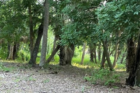Terreno en venta en Haines City, Florida № 2123280 - foto 11