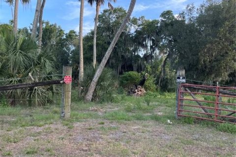 Terreno en venta en Haines City, Florida № 2123280 - foto 4