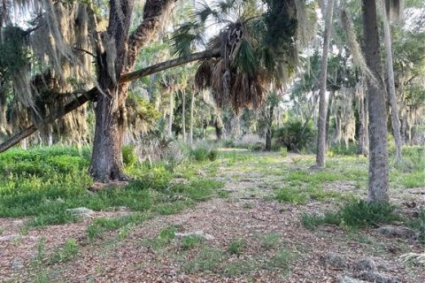 Terreno en venta en Haines City, Florida № 2123280 - foto 5