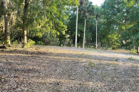 Terreno en venta en Haines City, Florida № 2123280 - foto 8