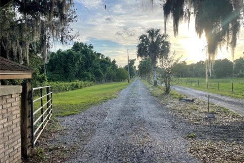 Terrain à Haines City, Floride № 2123280