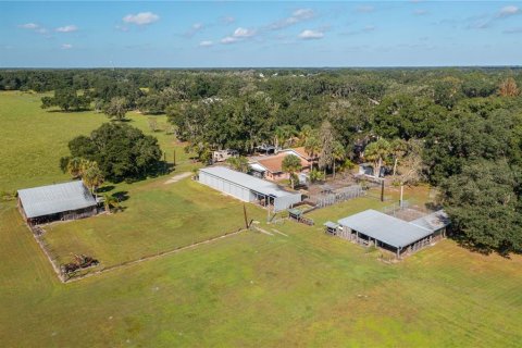 House in Plant City, Florida 5 bedrooms, 652.45 sq.m. № 1561212 - photo 11