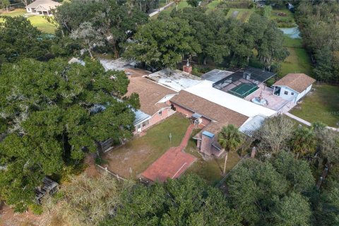 House in Plant City, Florida 5 bedrooms, 652.45 sq.m. № 1561212 - photo 21