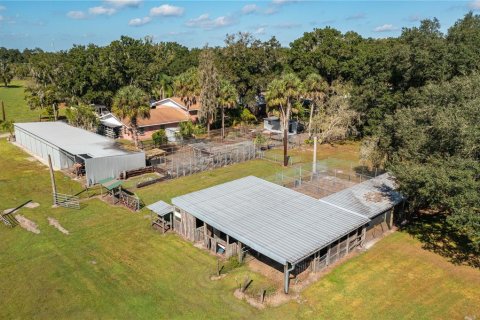 House in Plant City, Florida 5 bedrooms, 652.45 sq.m. № 1561212 - photo 14