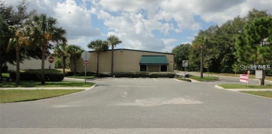 Immobilier commercial à Eustis, Floride № 1792068