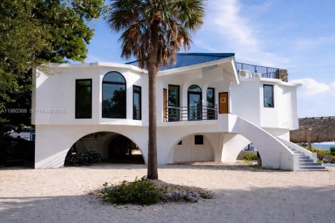 Villa ou maison à vendre à Big Pine Key, Floride: 6 chambres, 281.4 m2 № 2080409 - photo 3