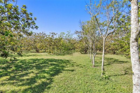Commercial property in Homestead, Florida № 1882424 - photo 12