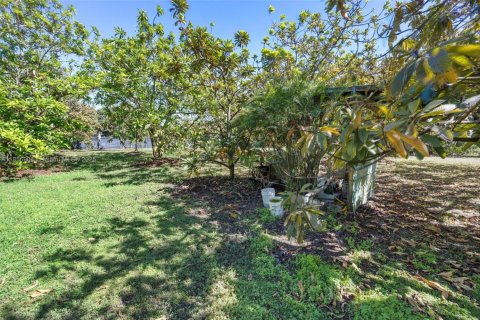 Commercial property in Homestead, Florida № 1882424 - photo 9