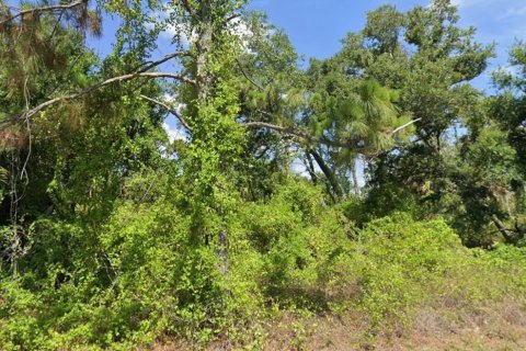 Land in Port Charlotte, Florida № 2206060 - photo 4